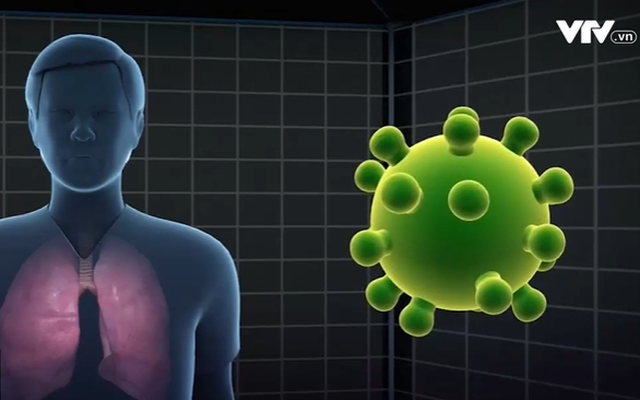 Quyết định 181 Sở y tế về việc ban hành phòng chống dịch virius nCoV